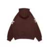 DT Chenille-Patch-Kapuzenpullover mit Reißverschluss, braun