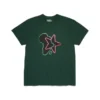 Pan-African Star T-Shirt, grün